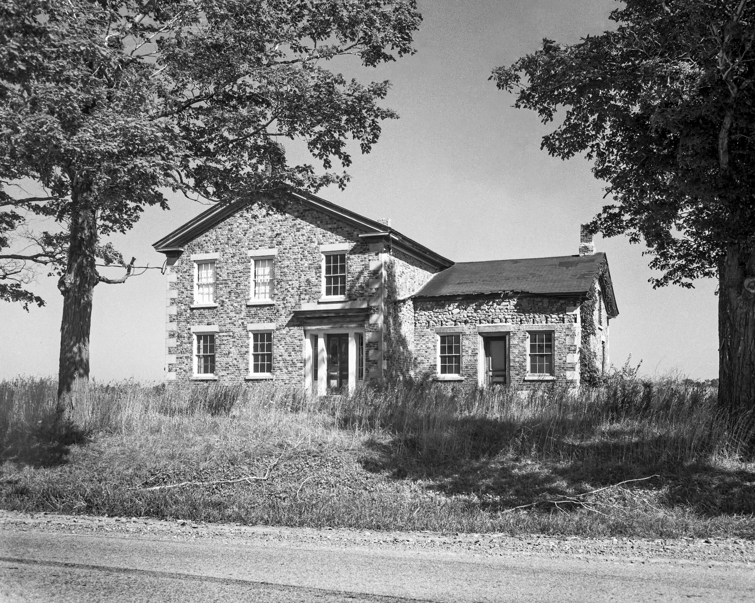 GP Genesee Elba Elb-3_1 N